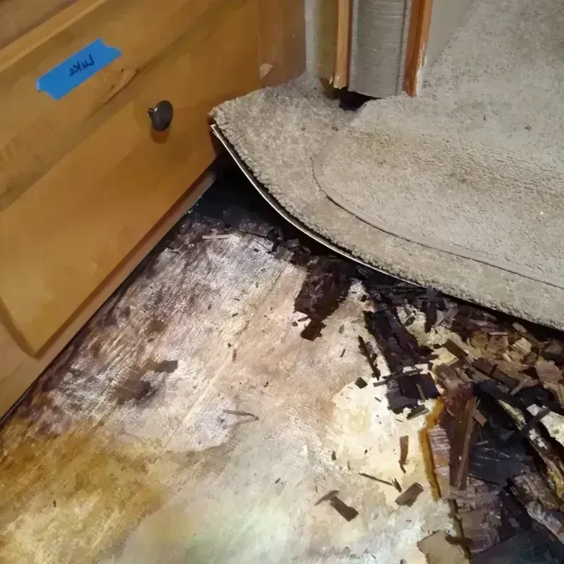 Wood Floor Water Damage in Woodrow, NY